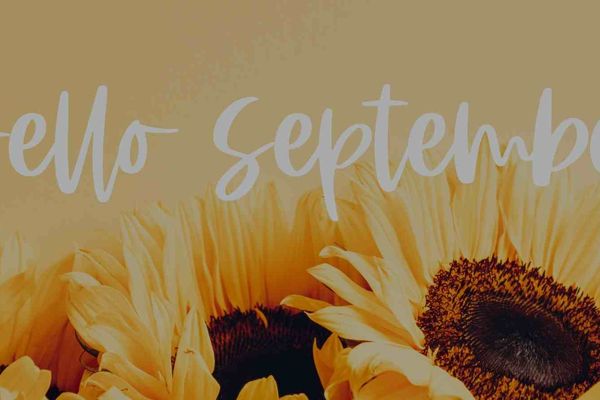 Sunflowers with Hello September written in white